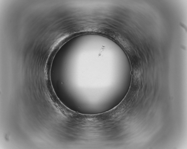X0000093480628200710261039