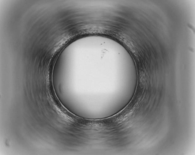 X0000093480629200710261039