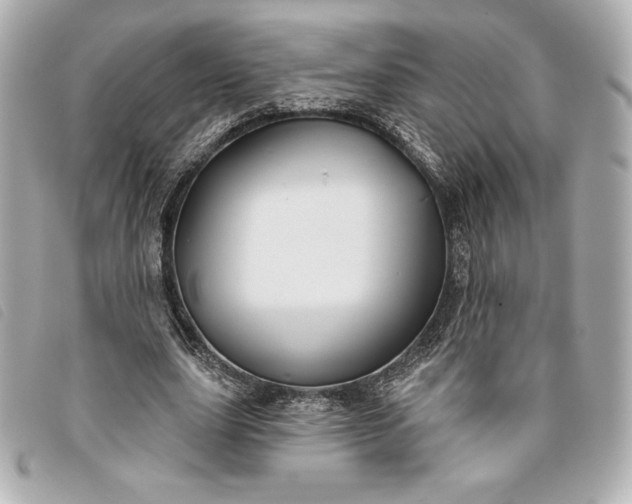X0000093480631200710261039