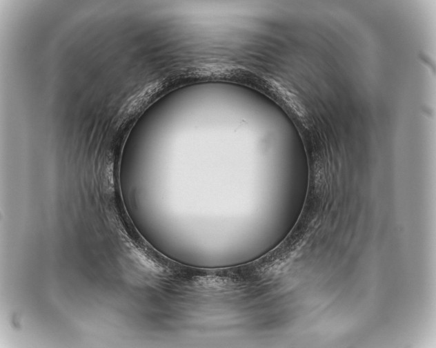 X0000093480633200710261039