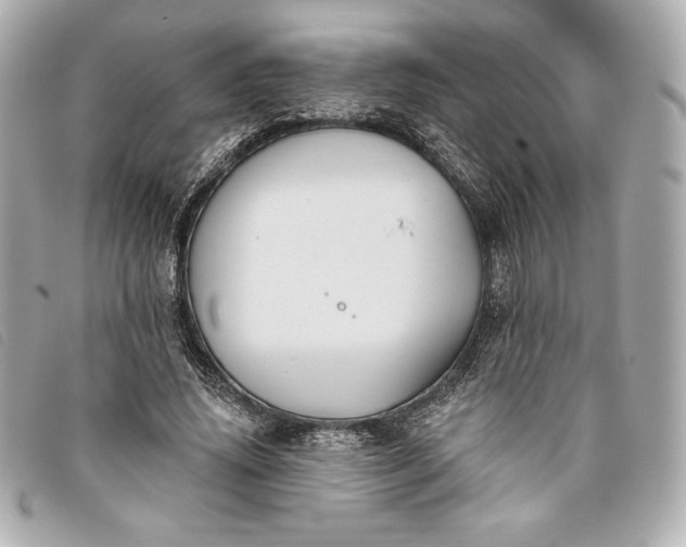 X0000093480636200710261039