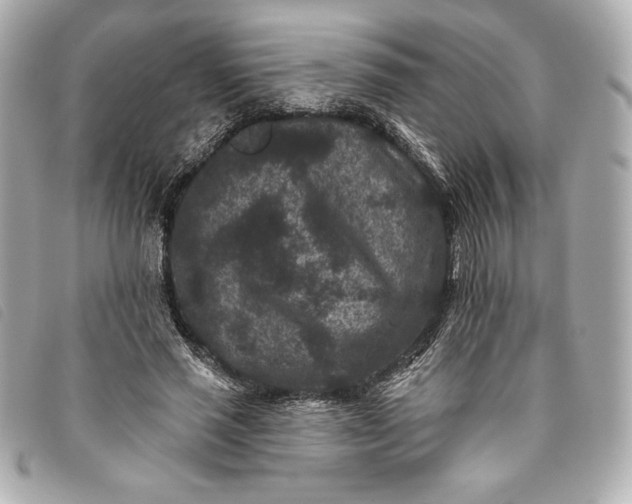 X0000093480637200710261039