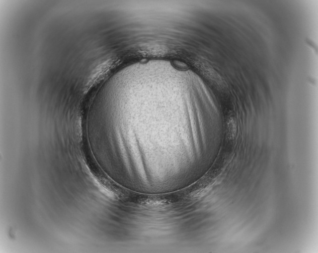 X0000093480638200710261039