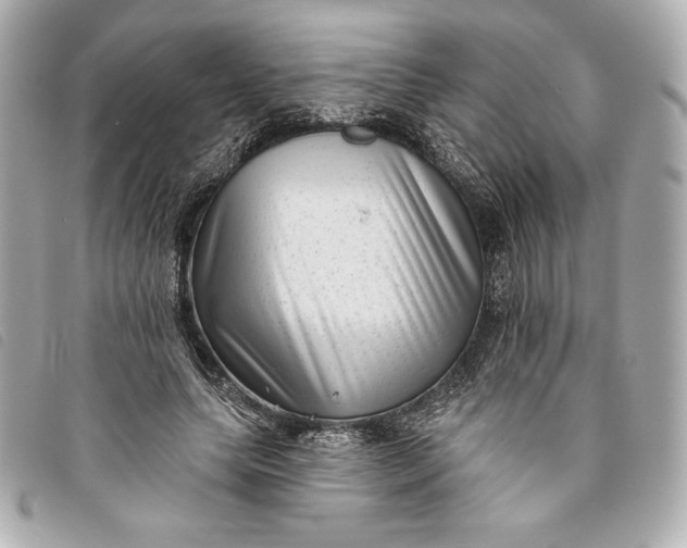 X0000093480639200710261039