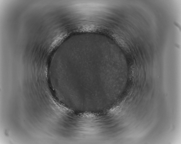 X0000093480640200710261039