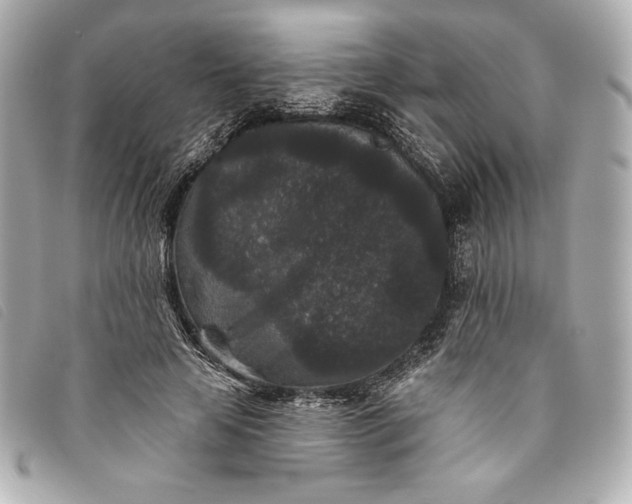 X0000093480641200710261039