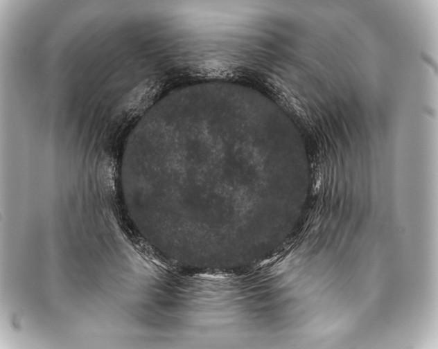 X0000093480643200710261039