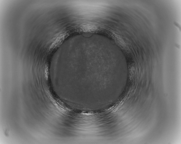 X0000093480644200710261039