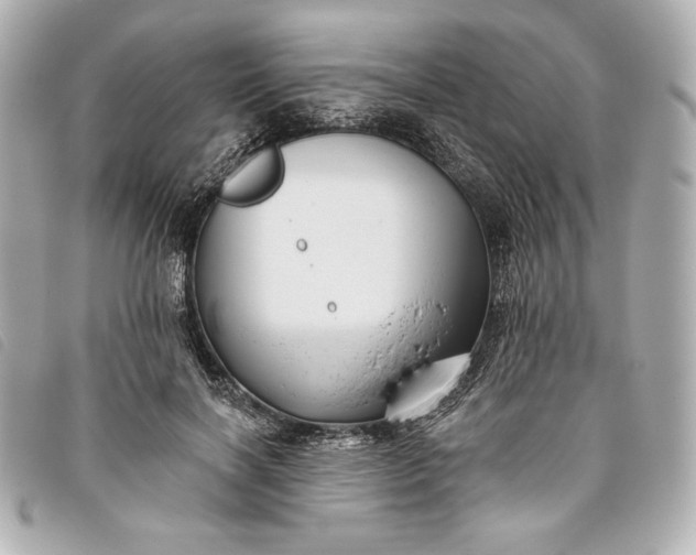 X0000093480646200710261039