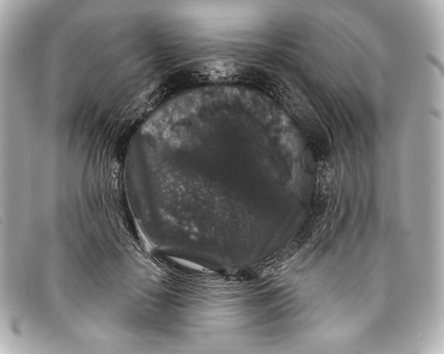 X0000093480650200710261039