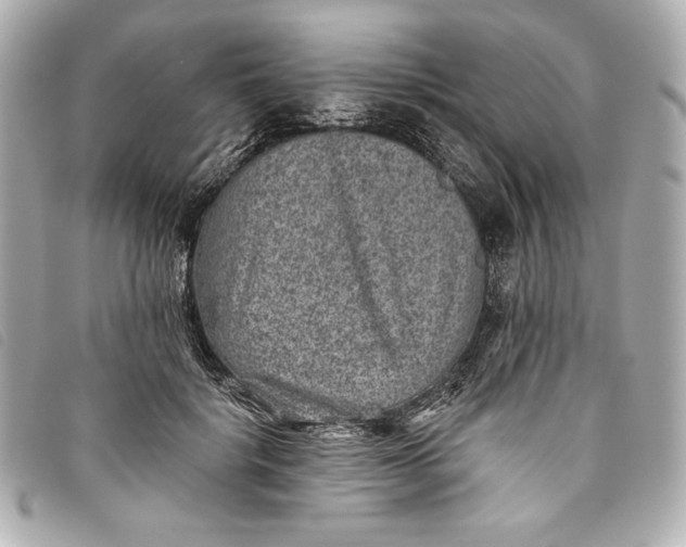 X0000093480652200710261039