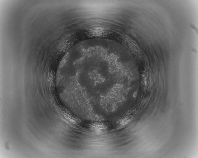 X0000093480653200710261039