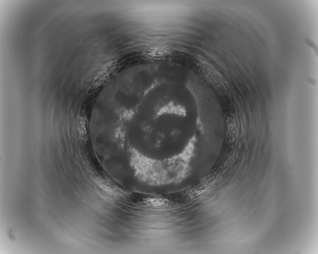 X0000093480654200710261039