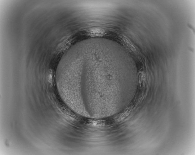 X0000093480655200710261039
