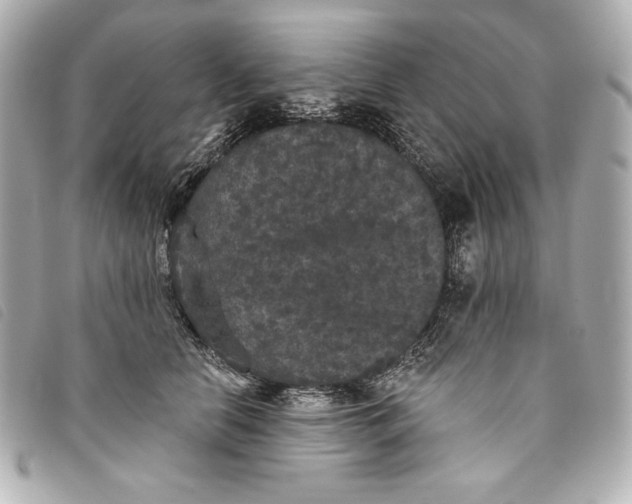 X0000093480658200710261039
