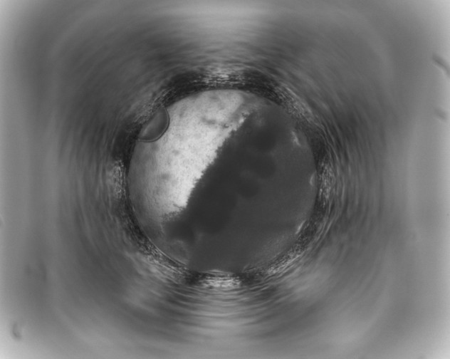 X0000093480659200710261039