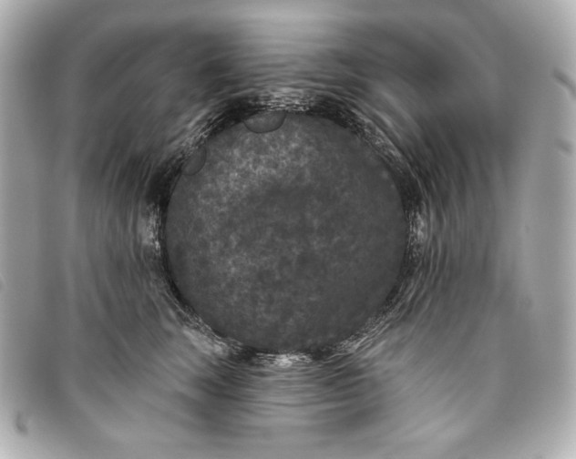 X0000093480663200710261039