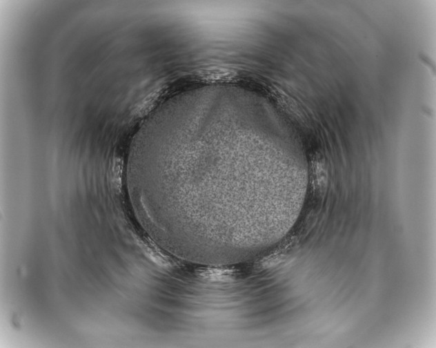 X0000093480664200710261039
