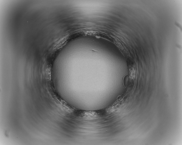 X0000093480666200710261039