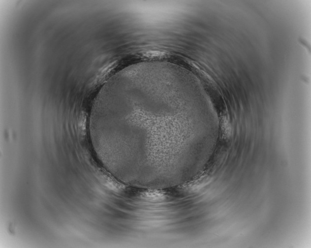 X0000093480668200710261039