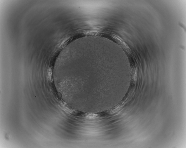 X0000093480669200710261039