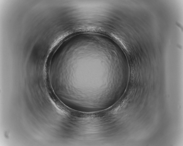 X0000093480674200710261039