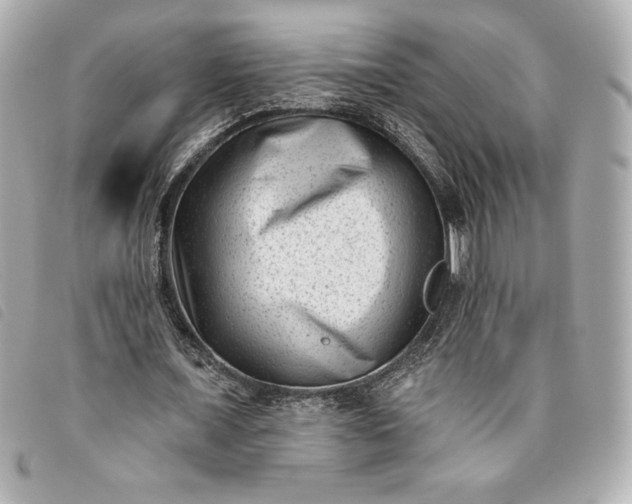 X0000093480675200710261039