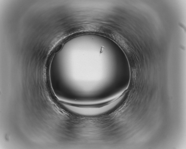 X0000093480676200710261039