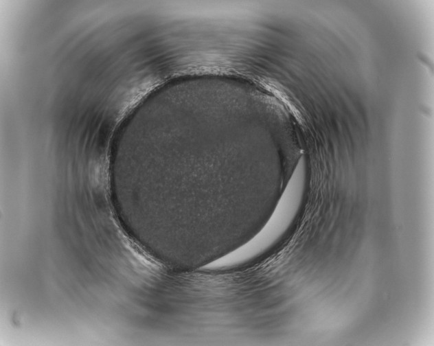 X0000093480677200710261039