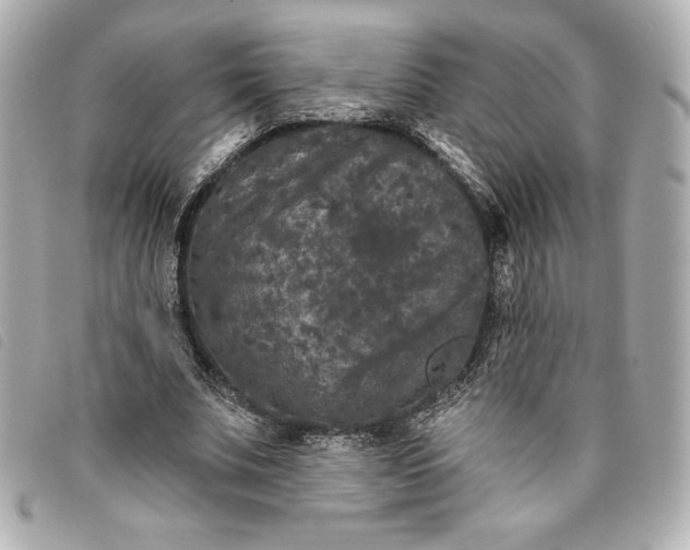 X0000093480679200710261039