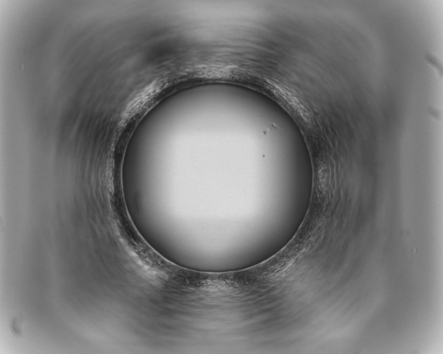 X0000093480682200710261039