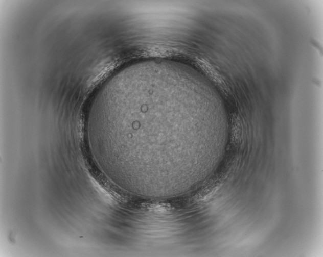X0000093480683200710261039