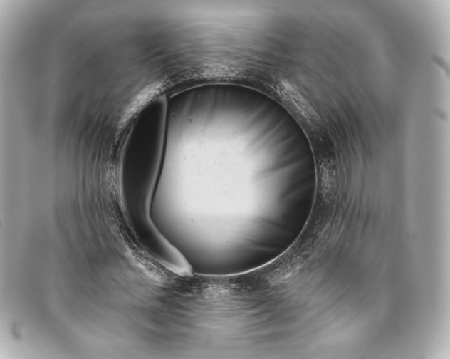 X0000093480684200710261039