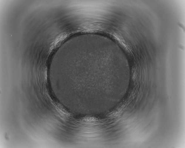 X0000093480685200710261039