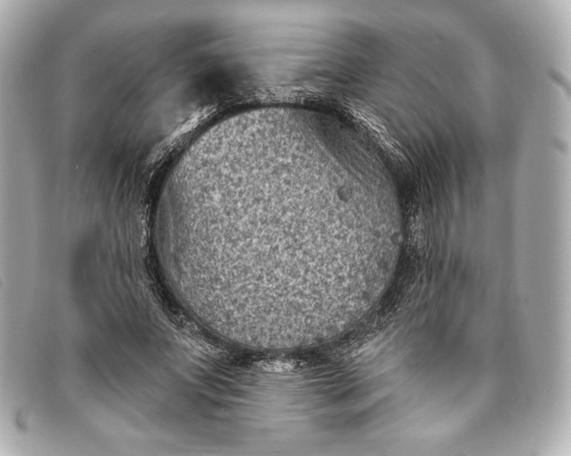 X0000093480687200710261039