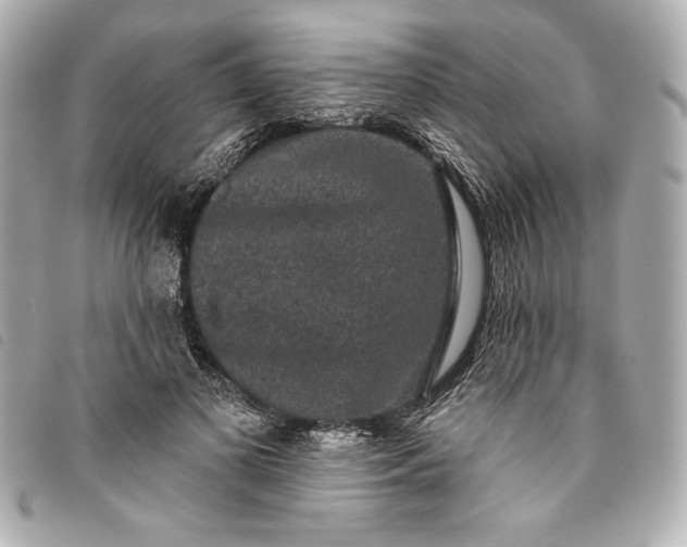 X0000093480693200710261039
