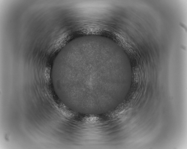 X0000093480695200710261039