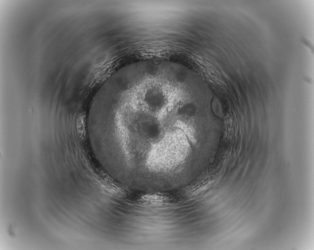 X0000093480699200710261039