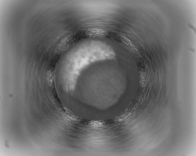 X0000093480701200710261039