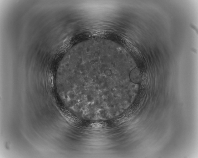 X0000093480703200710261038