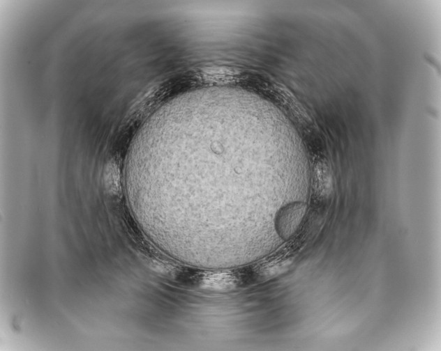 X0000093480705200710261038