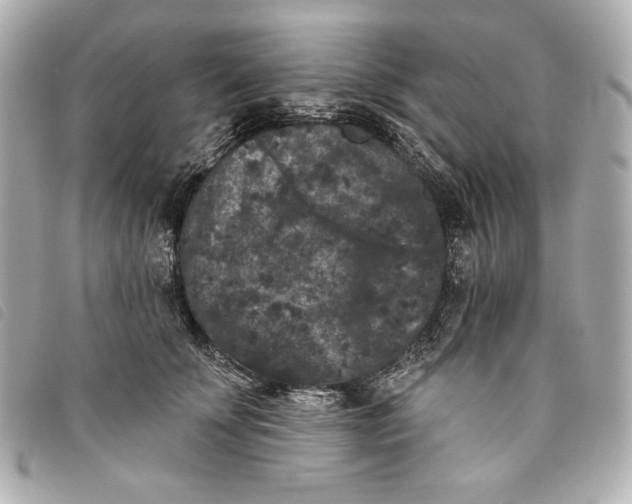 X0000093480707200710261038