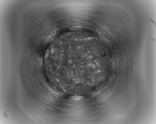 X0000093480711200710261038