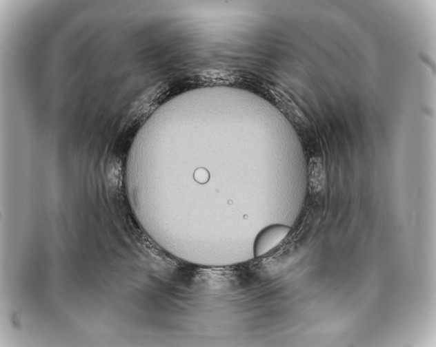 X0000093480713200710261038