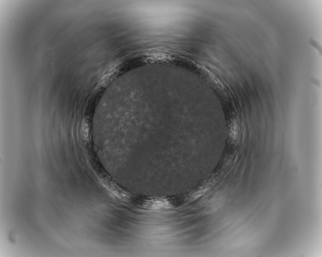 X0000093480715200710261038