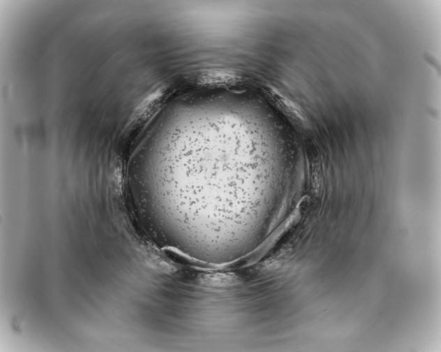 X0000093480716200710261038