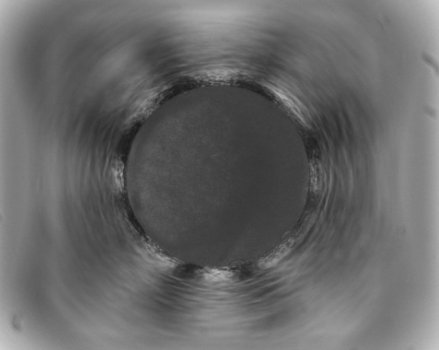 X0000093480718200710261038