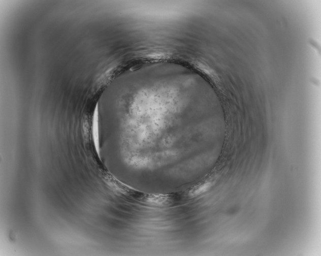 X0000093480720200710261038