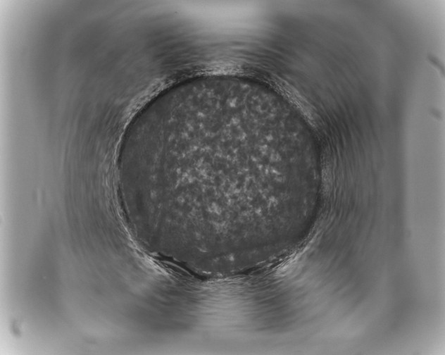 X0000093480721200710261038