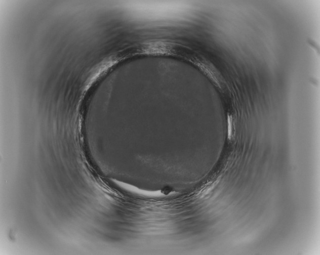 X0000093480723200710261038